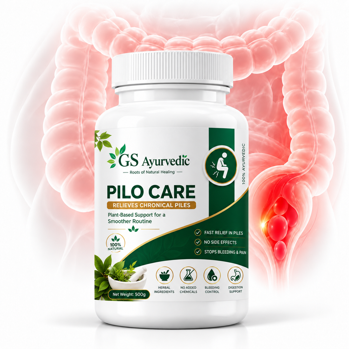 GS Ayurvedic Pilo Care | Piles Pain, Bleeding & Swelling Relief | 60+ Years Expertise